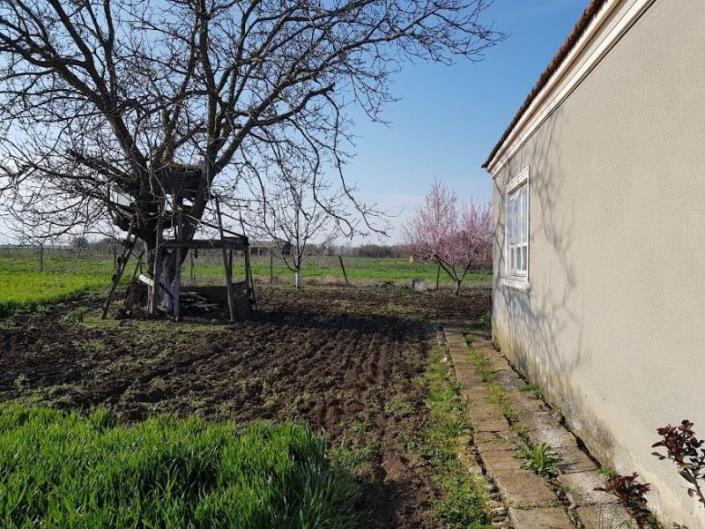 Image No.3-Propriété de pays de 3 chambres à vendre à Dobrich