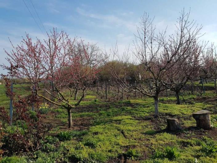 Image No.5-Propriété de pays de 3 chambres à vendre à Dobrich