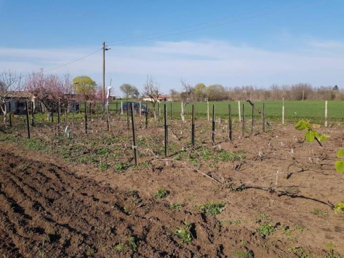 Image No.6-Propriété de pays de 3 chambres à vendre à Dobrich