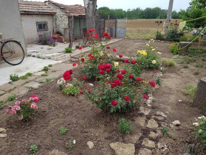 Image No.9-Propriété de pays de 3 chambres à vendre à Dobrich