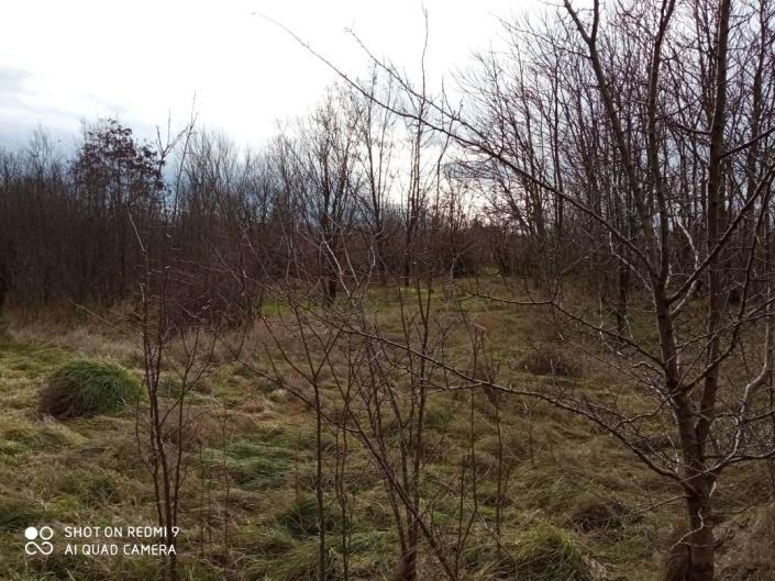 Image No.7-Propriété de pays de 4 chambres à vendre à Veliko Tarnovo