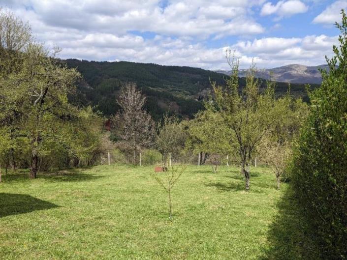 Image No.5-Propriété de pays de 2 chambres à vendre à Province de Sofia