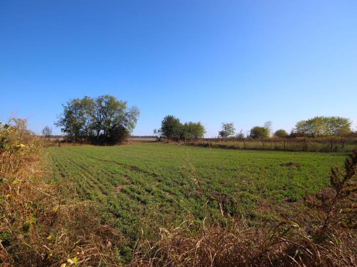 Image No.2-2 Bed House for sale