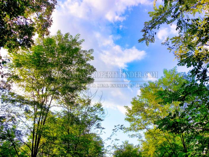 Image No.5-Land for sale