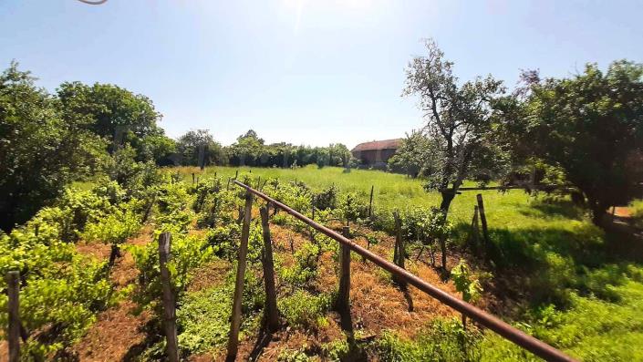 Image No.2-Maison de campagne de 2 chambres à vendre à Veliko Tarnovo