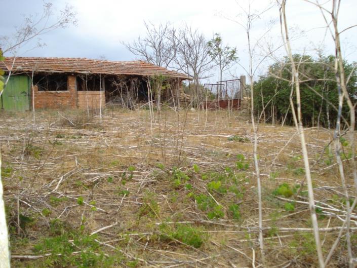 Image No.6-3 Bed Country House for sale