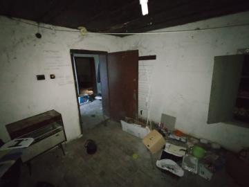 IMG-20250322-WA0016