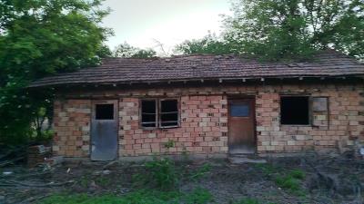 IMG-20250511-WA0138