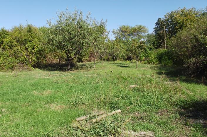 Image No.9-Maison de campagne de 2 chambres à vendre à Vratsa 