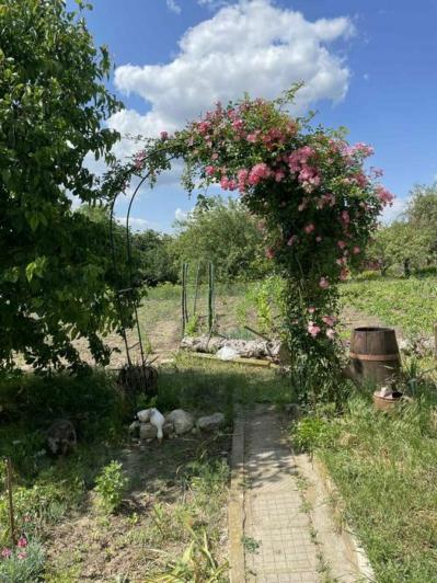 Image No.6-3 Bed Country House for sale