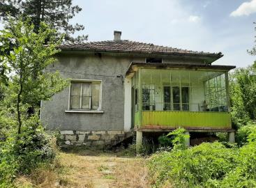 schouse-cERzCe_2_b
