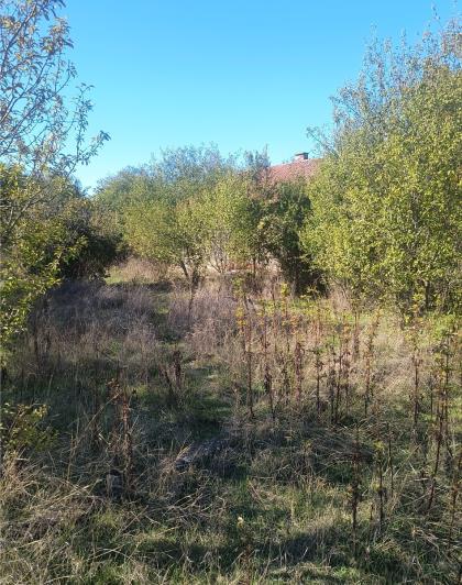 Image No.6-1 Bed Country House for sale