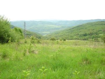 1 - Veliko Tarnovo, Terre