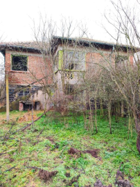 IMG_20260206_100614571