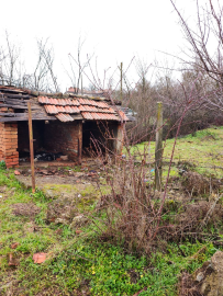 IMG_20260206_100657893