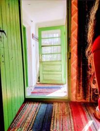 partly-renovated-house-close-to-danue-river-6