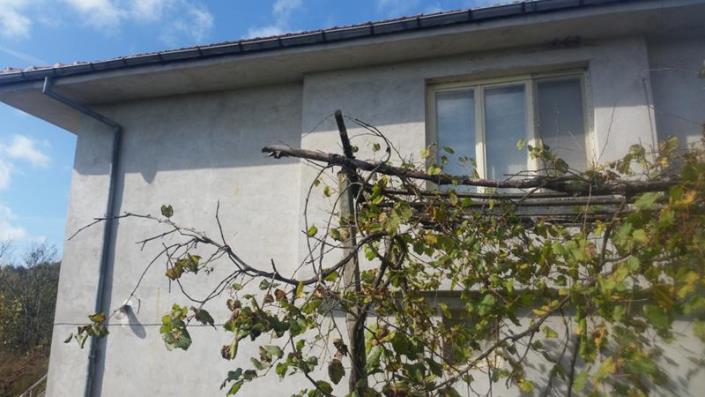 Image No.4-2 Bed Country House for sale