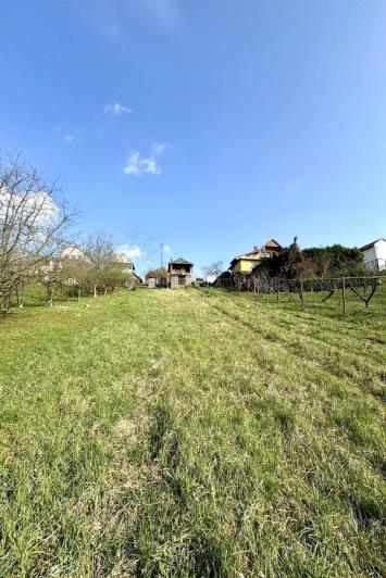 Image No.8-1 Bed Country House for sale