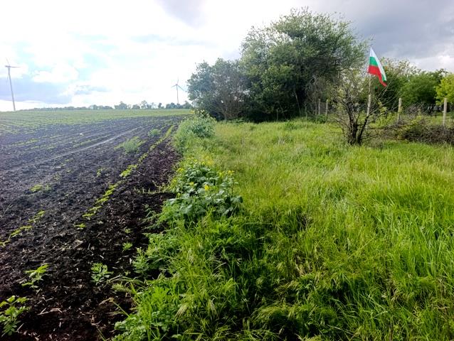 Image No.2-Land for sale