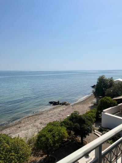 Image No.1-8 Bed Villa / Detached for sale