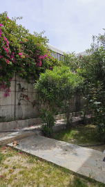2025042-Kings-Beach-Villa-6-garden