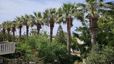 20250423-Kings-Beach-Villa-1-view