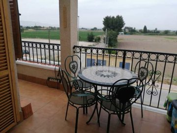3325-for-sale-in-daya-vieja-14080433-large