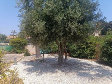 823-villa-for-sale-in-la-manga-195828-large