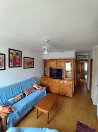 img20250819155608xlarge
