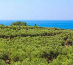 1 - Rethymnon, Villa