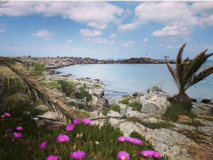 Image No.21-Un hôtel à vendre à Sissi