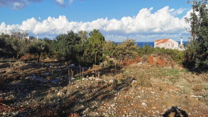 Image No.2-floorplan-2