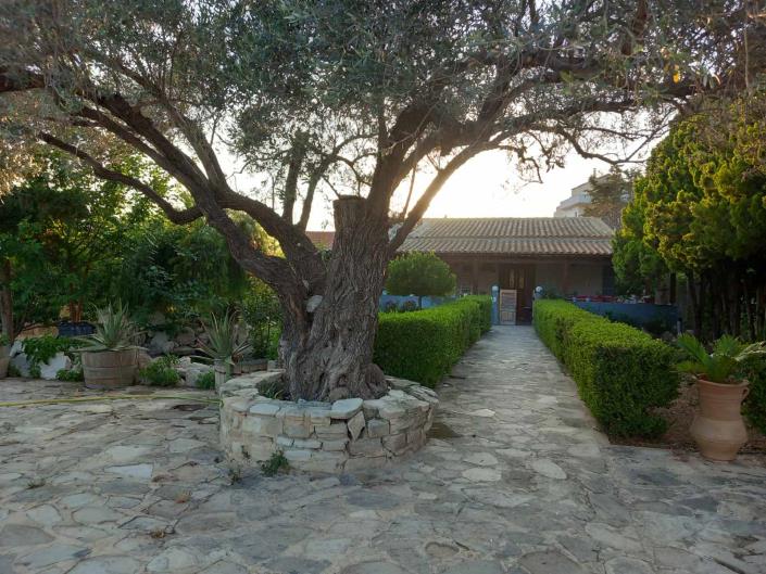 Image No.2-Maison de 3 chambres à vendre à Vori