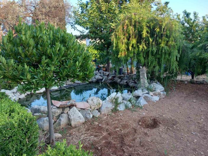 Image No.3-Maison de 3 chambres à vendre à Vori