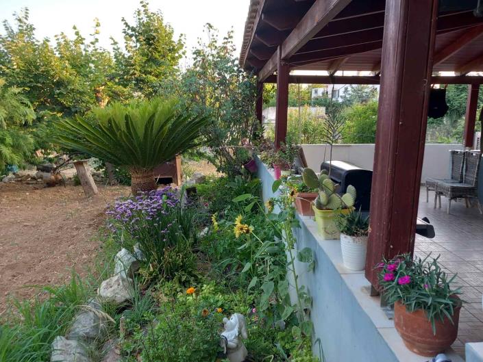 Image No.5-Maison de 3 chambres à vendre à Vori