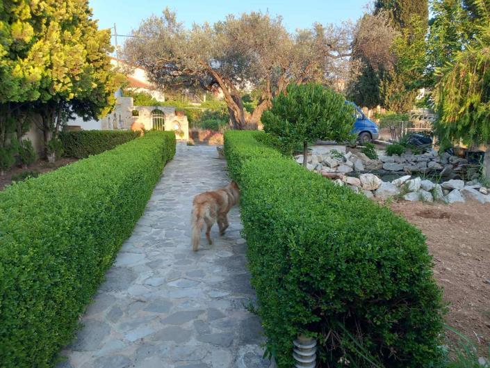 Image No.13-Maison de 3 chambres à vendre à Vori