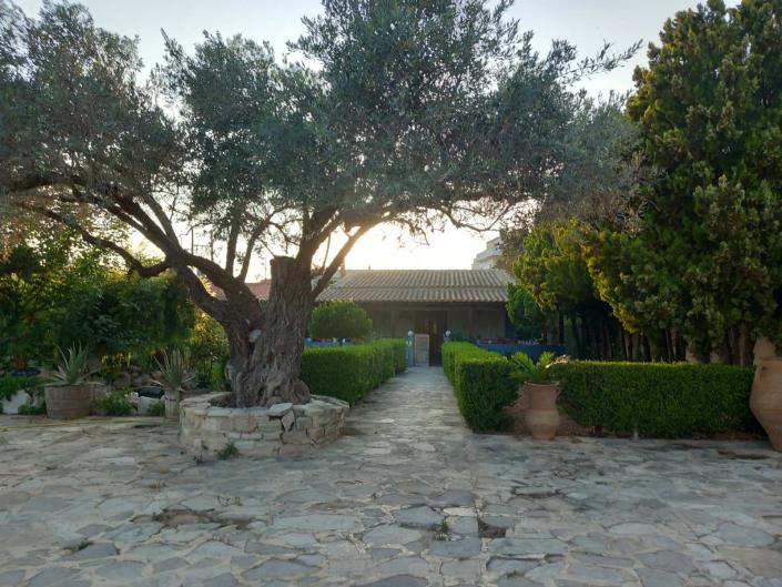 Image No.15-Maison de 3 chambres à vendre à Vori