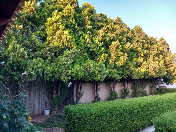 Image No.17-Maison de 3 chambres à vendre à Vori