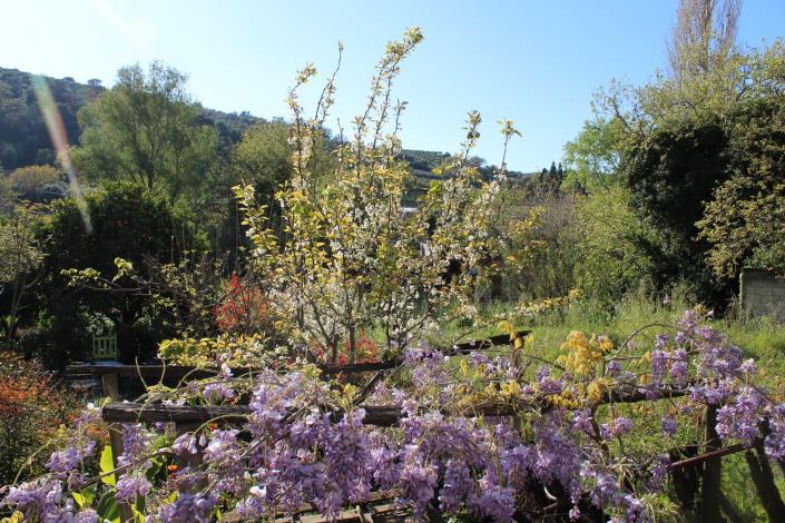 Image No.4-3 Bed House for sale