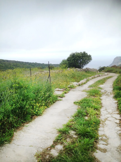 Image No.7-Plot for sale