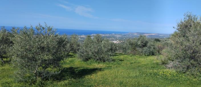 Image No.12-3 Bed Villa for sale