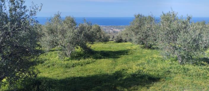 Image No.13-3 Bed Villa for sale