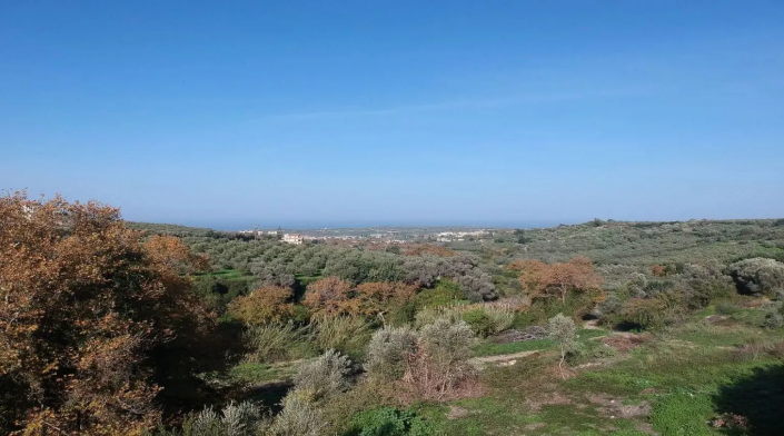 Image No.9-Villa de 2 chambres à vendre à Ag Triada