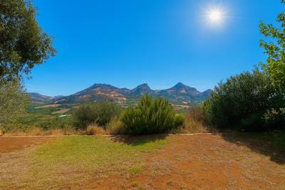 view-from-house---4-