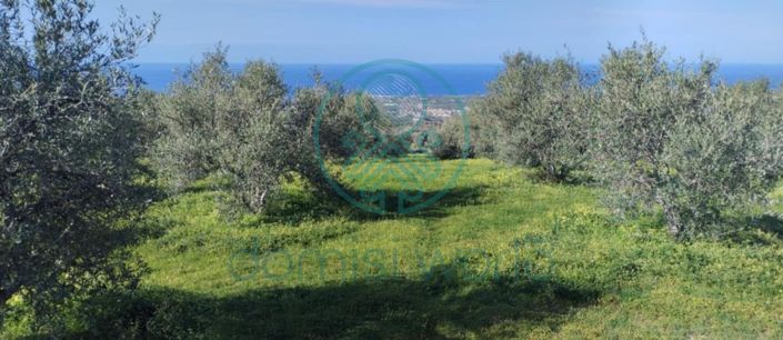 Image No.12-3 Bed Villa for sale