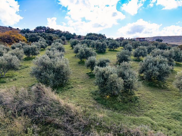 Image No.19-4 Bed Property for sale