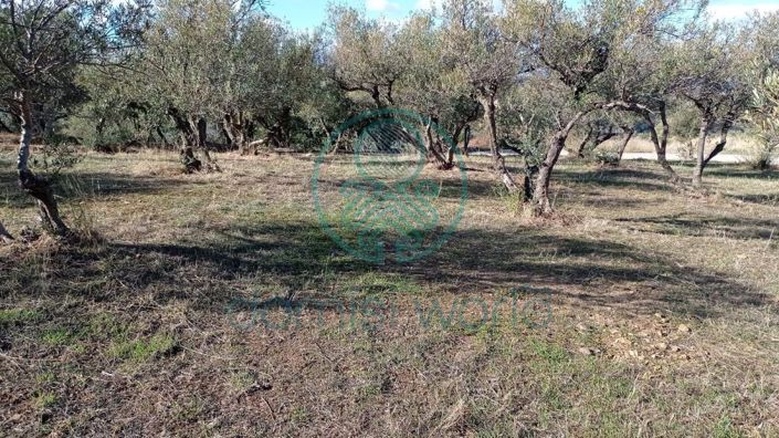 Image No.11-Terre à vendre à Grèce