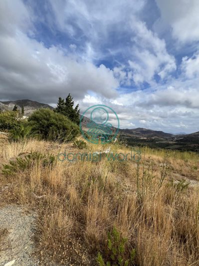 Image No.14-3 Bed Villa / Detached for sale