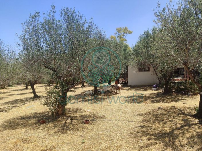 Image No.9-Villa / Détaché de 2 chambres à vendre à Pompia