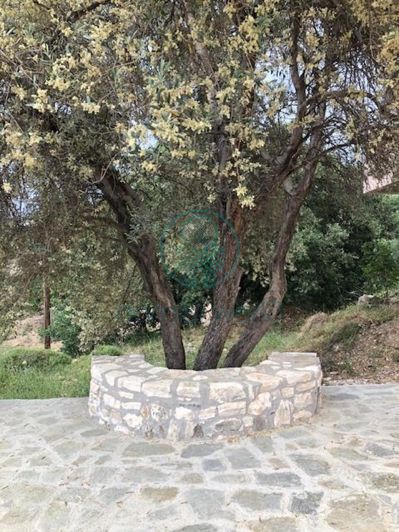 Image No.8-4 Bed Villa for sale